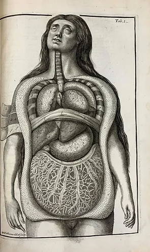 Samuel Collins: Asystem of Anatomy 1685