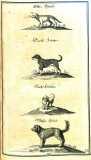 H.F. von Fleming:  Der vollkommene teutsche Jäger ...  1719-24