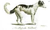 T. Götz: Monographie des Hundes ...  1834