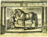 A. de Pluvinel: l'Instruction du Roy en l'exercice de monter a cheval (1629)