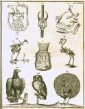 G. Blasius:  Anatome animalium ...  1681