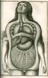 S. Collins: A systeme of anatomy ...  1685