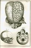 S. Collins: A systeme of anatomy ...  1685