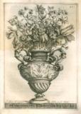 G.B. Ferrari:  De florum cultura libri IV.  1633