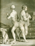 G-L. L. de Buffon: Histoire naturelle générale et particulière ...  1750-79