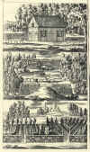 1682-89  Johann Tänzer: Der Dianen hohe und niedere Jagtgeheimniss, darinnen die gantze Jagt-Wissenschaft aussführlich zubefinden