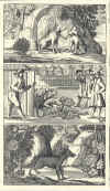 1682-89  Johann Tänzer: Der Dianen hohe und niedere Jagtgeheimniss, darinnen die gantze Jagt-Wissenschaft aussführlich zubefinden