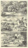 1682-89  Johann Tänzer: Der Dianen hohe und niedere Jagtgeheimniss, darinnen die gantze Jagt-Wissenschaft aussführlich zubefinden