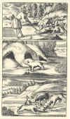 1682-89  Johann Tänzer: Der Dianen hohe und niedere Jagtgeheimniss, darinnen die gantze Jagt-Wissenschaft aussführlich zubefinden