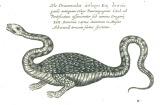 A. Kircher:  Mundus subterraneus 1664