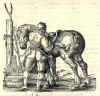 1584  Marr Fugger: Von der Gestüterey, das ist ein gründtliche Beschreibung wie und wa man ein Gestüt von guten edlen Kriegrössen auffrichten, unterhalten, und wie man die Jungen ... erziehen soll ... 