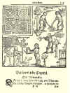 1647  Hans Raszmussøn Block: Horticulturae Danica. Hvorledis en zirlig oc nyttig Urte-Hawe i Dannemarck kand anrettis, beprydis oc ved Mact holdis.