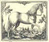 1624  Georg Engelhard Löhneyss: Della Cavalleria, das ist gründlicher und ausführlicher Bericht von allem was zu der löblichen Reuteren gehörig  Blandt hesteracerne ses den dengang europæisk berømte danske hest - Frederiksborghesten - nr. 5  i 2. række.