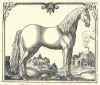 1624  Georg Engelhard Löhneyss: Della Cavalleria, das ist gründlicher und ausführlicher Bericht von allem was zu der löblichen Reuteren gehörig  Blandt hesteracerne ses den dengang europæisk berømte danske hest - Frederiksborghesten - nr. 5  i 2. række.