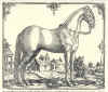 1624  Georg Engelhard Löhneyss: Della Cavalleria, das ist gründlicher und ausführlicher Bericht von allem was zu der löblichen Reuteren gehörig  Blandt hesteracerne ses den dengang europæisk berømte danske hest - Frederiksborghesten - nr. 5  i 2. række.