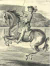 W. Cavendish von Newcastle: A general system of horsemanship ... Bd. 1 (1743)