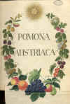 J. Kraft: Pomona Austriaca (1792-96)