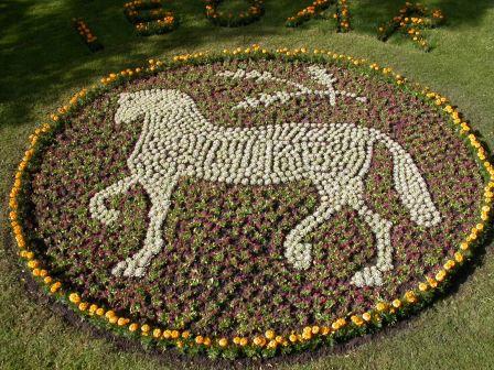 Salys hest lavet af blomster