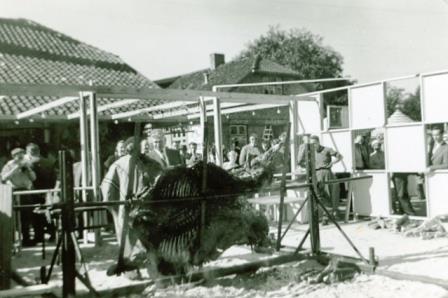 Hundredeårsfesten i 1958