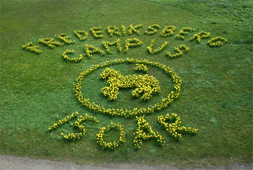 Frederiksberg Campus Logo af blomster