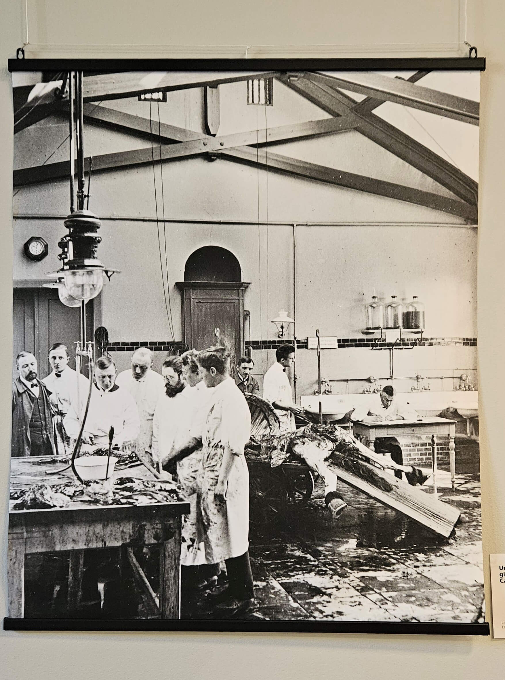 Anatomibygningen Ca.1900-1910