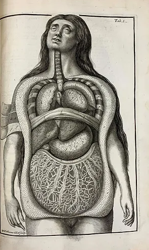 Samuel Collins: A systeme of Anatomy ... (1685)