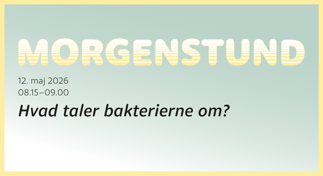 Morgenstund: Hvad taler bakterierne om