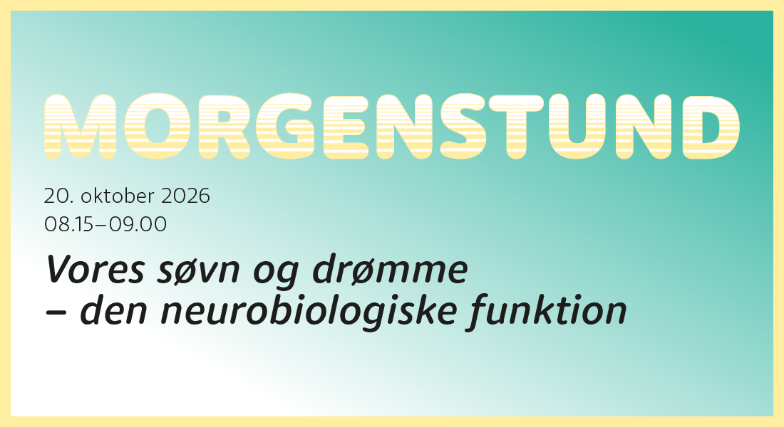 Morgenstund: Vores søvn og drømme