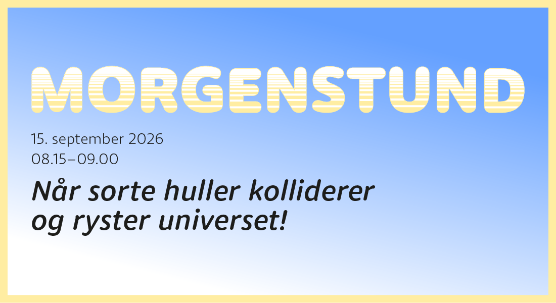 Sorte huller