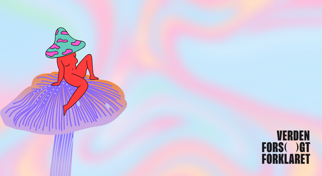 MDMA og svampe 