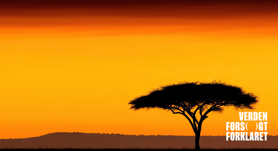Afrika