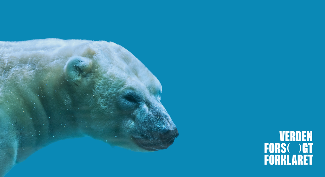 Naturen som ny magtfaktor