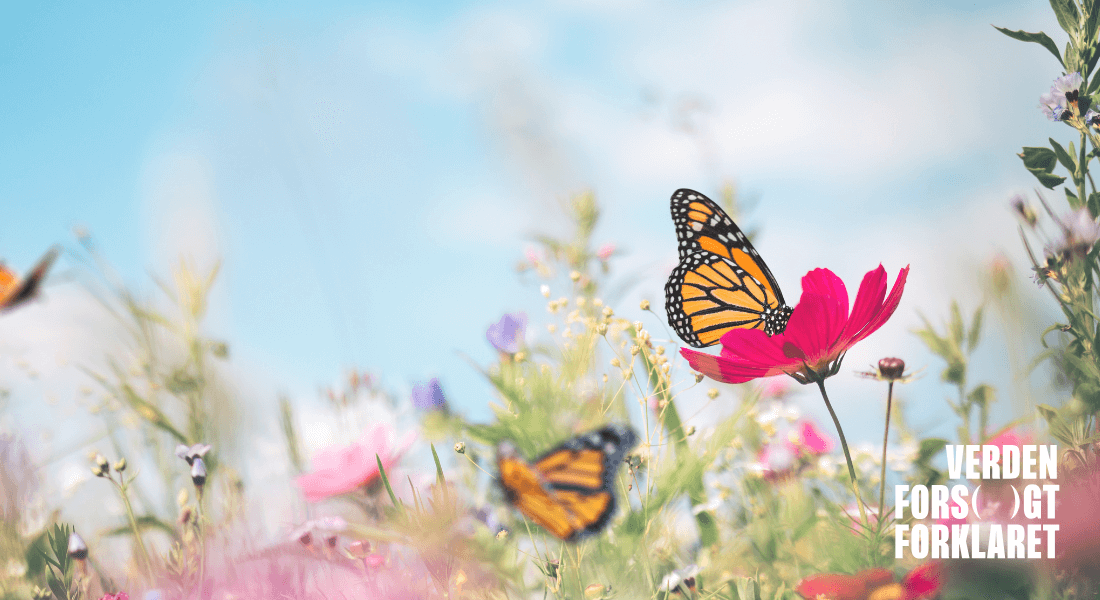 Sæt pris på naturen