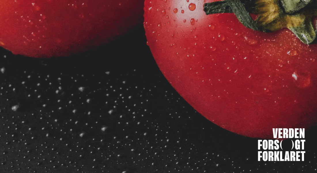 Kulturkamp til aftensmad