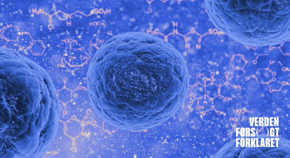 Sådan påvirker din frokost din adfærd